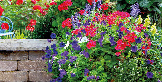 prospekt mai sortimentshinweis sommerblumen prospekt mai sortimentshinweis sommerblumen
